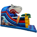 Toboggan Maxi Requin