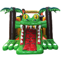 2 PARTIES COURSE D'OBSTACLE ALLIGATOR